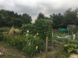 Best Allotment - Plot 16 Grammar School Road