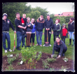 Josh's mum leads family and friends in planting the shrub bed