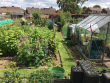 Best Allotment