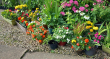 Entry for Front Garden