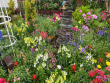 Garden Entry