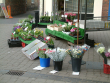 Saturday Market