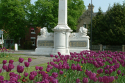 Brigg in Bloom