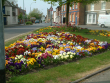 Brigg in Bloom